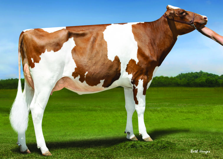 Luck-E Ammo Arsenal-Red-ET, VG-88 | Daughter of 94HO18241 Ammo-P*RC | Owned by Matt Engel